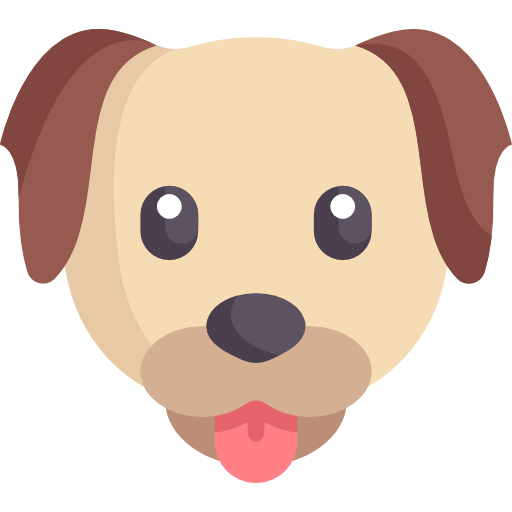 Category Icon