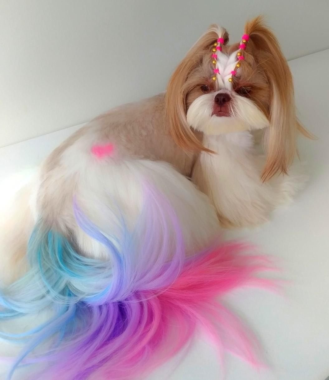 Pet with Pink Fur