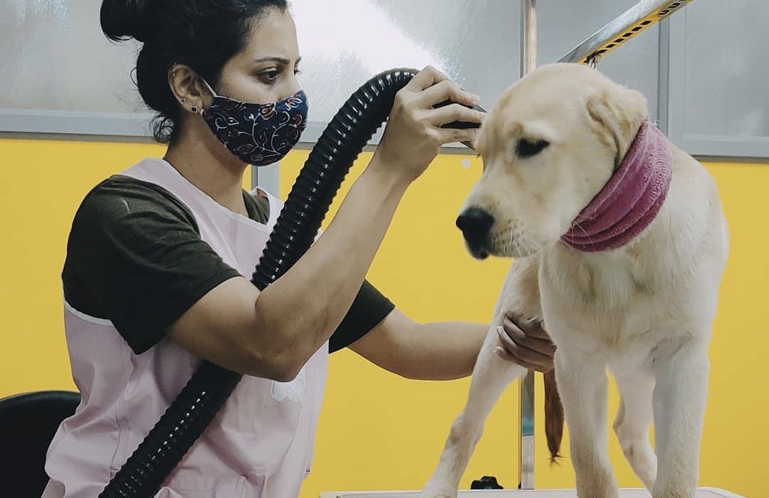 Pet Bath