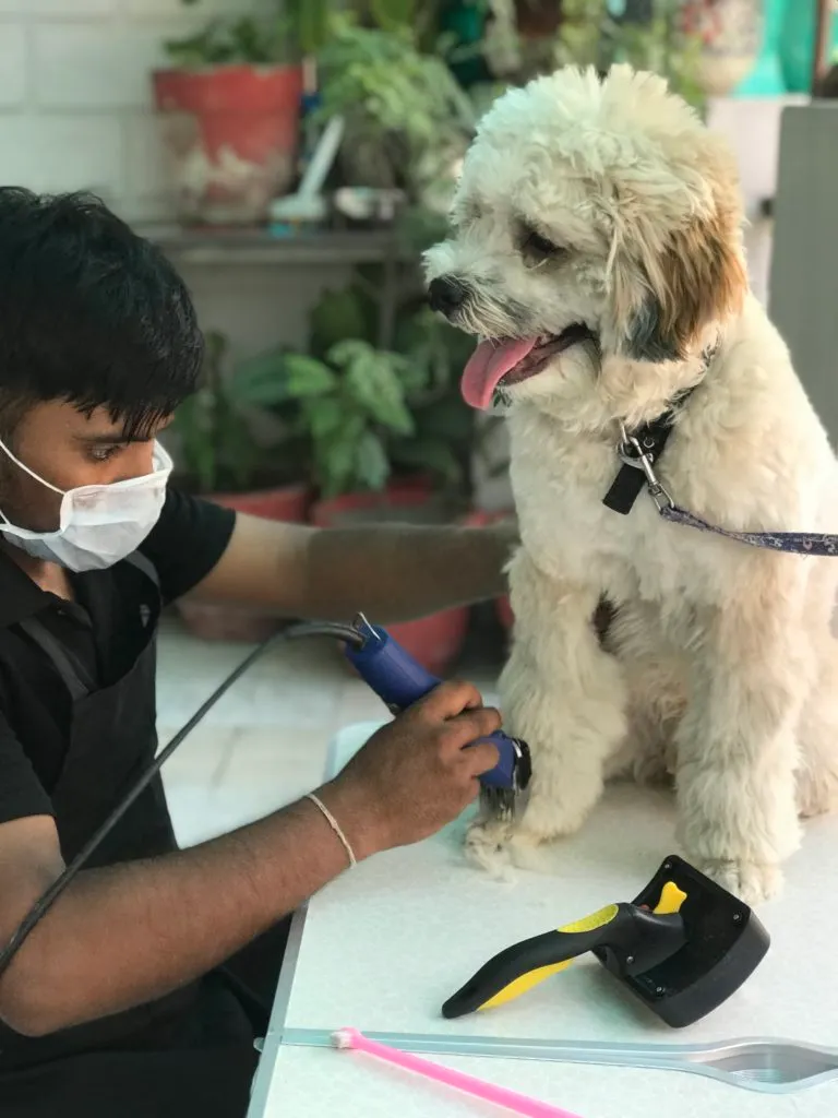 Happy Pet