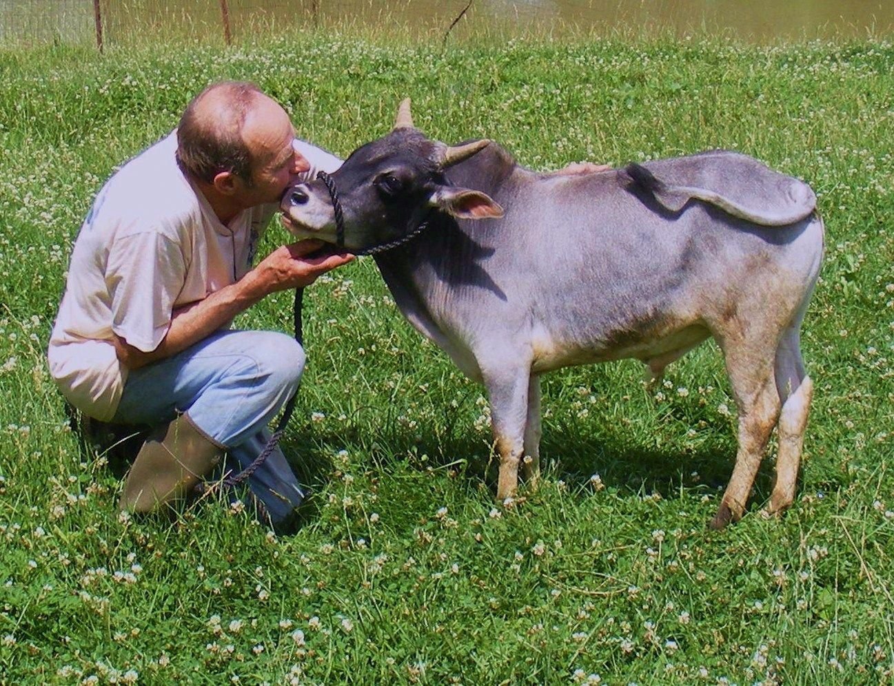 Miniature Breed (Exclusive)